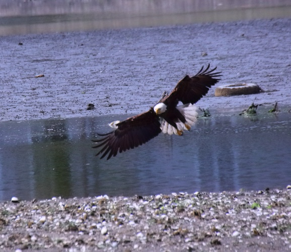 2019 05 08 HTP 90141e